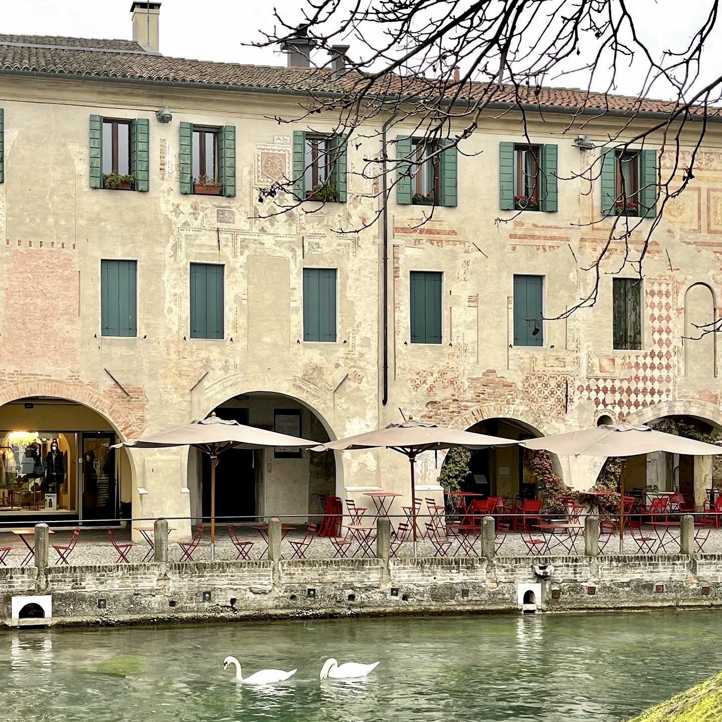 Treviso urbs picta