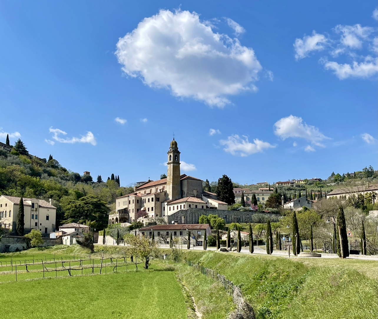 Wine expedition to Euganean Hills